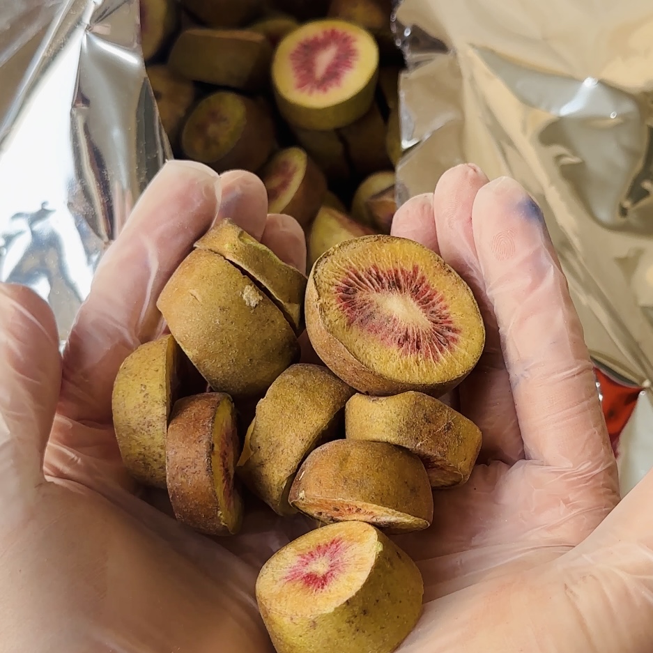 تصویر میوه پفکی کیوی توسرخ 